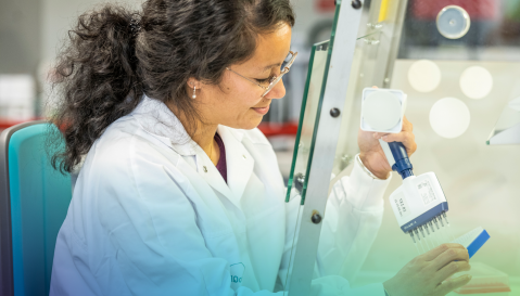 A ProQRian working on a cell culture in the laboratory