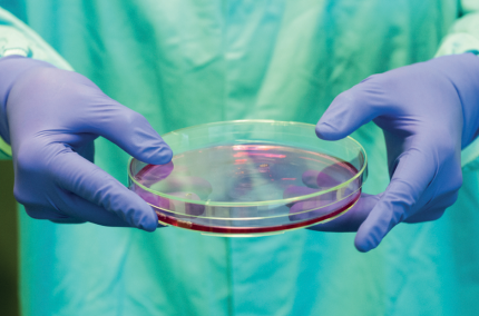 A scientist holding a petri dish