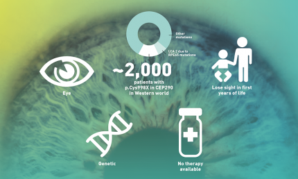 Infographic showing the basics of LCA 10